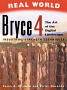 Real World Bryce 4